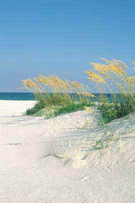 All photos provided by the Perdido Key Tourist Development Council.