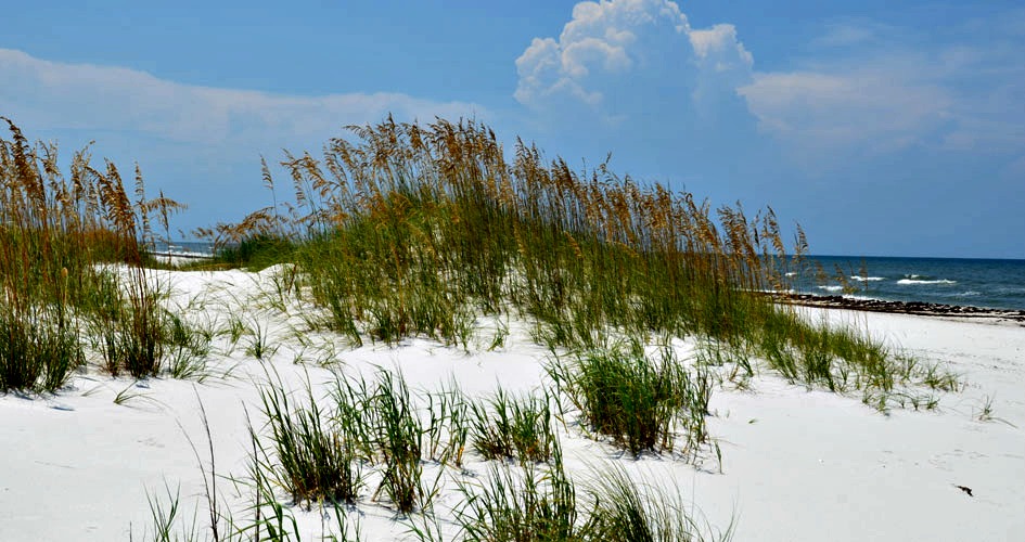 Cape San Blas Vacation Information