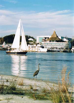 Sailboat in Destin Harbor