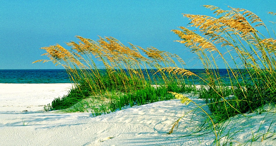 Pensacola Beach Vacation Information