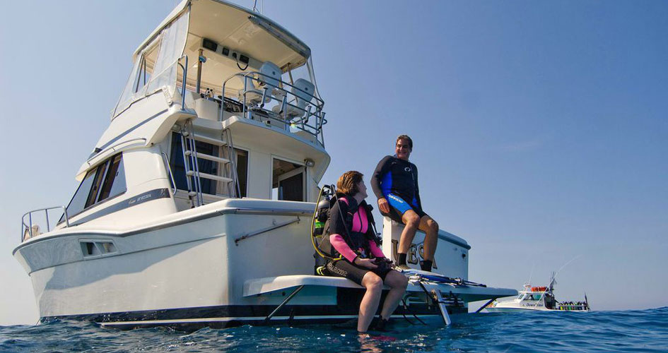 Sarasota diving off boat