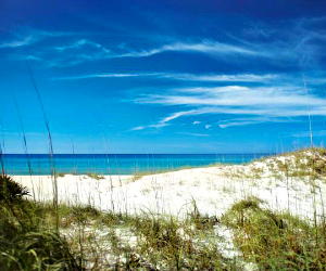 Sand dunes on the world-famous white sand beaches of Panama City Beach, Florida