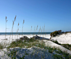 Bon Secour one of ten easy day trips from Gulf Shores AL